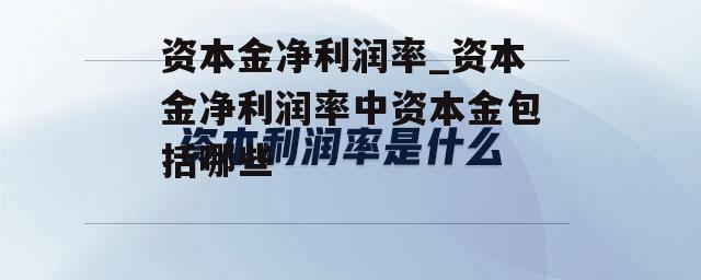 资本金净利润率_资本金净利润率中资本金包括哪些