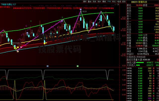 银禧科技股票_银禧科技股票代码