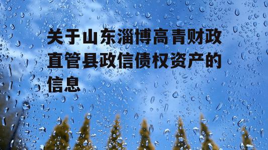 关于山东淄博高青财政直管县政信债权资产的信息