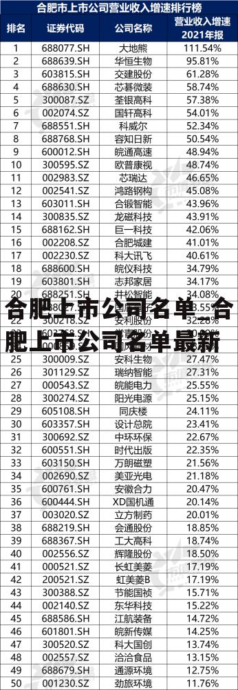 合肥上市公司名单_合肥上市公司名单最新