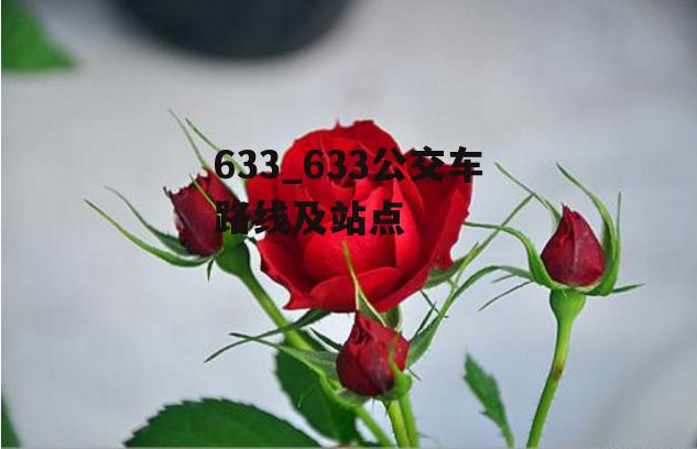 633_633公交车路线及站点