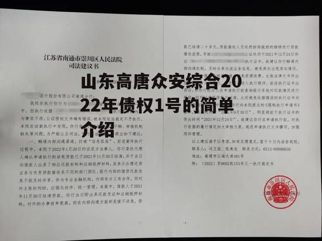 山东高唐众安综合2022年债权1号的简单介绍