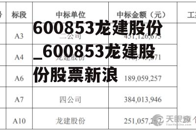 600853龙建股份_600853龙建股份股票新浪