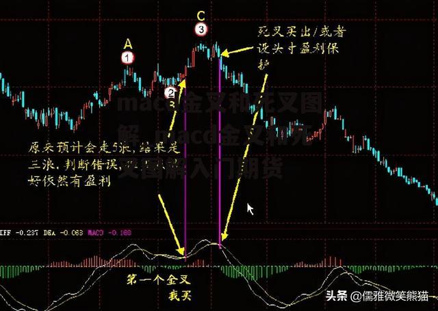 macd金叉和死叉图解_macd金叉和死叉图解入门期货