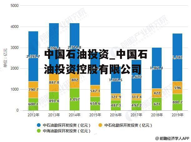 中国石油投资_中国石油投资控股有限公司