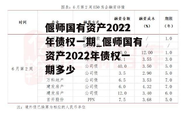 偃师国有资产2022年债权一期_偃师国有资产2022年债权一期多少