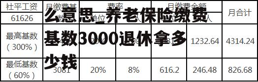 养老保险缴费基数是什么意思_养老保险缴费基数3000退休拿多少钱