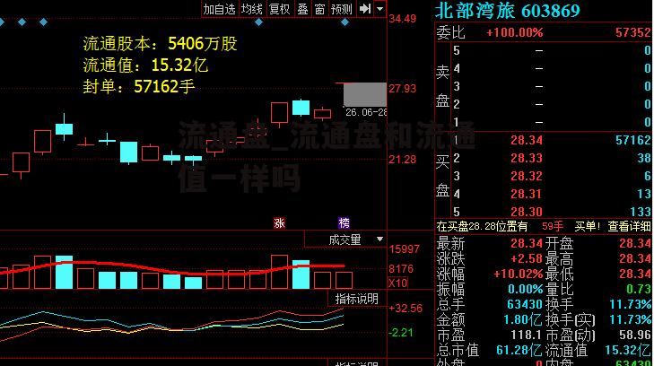 流通盘_流通盘和流通值一样吗