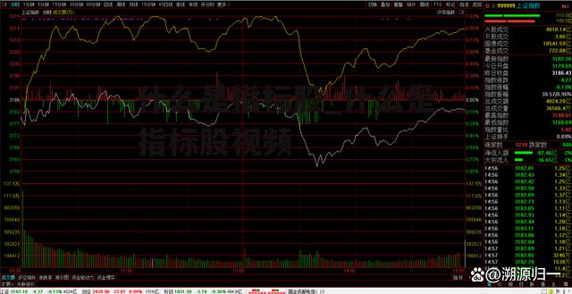 什么是指标股_什么是指标股视频