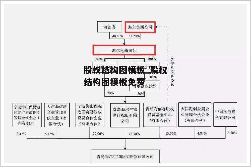 股权结构图模板_股权结构图模板免费