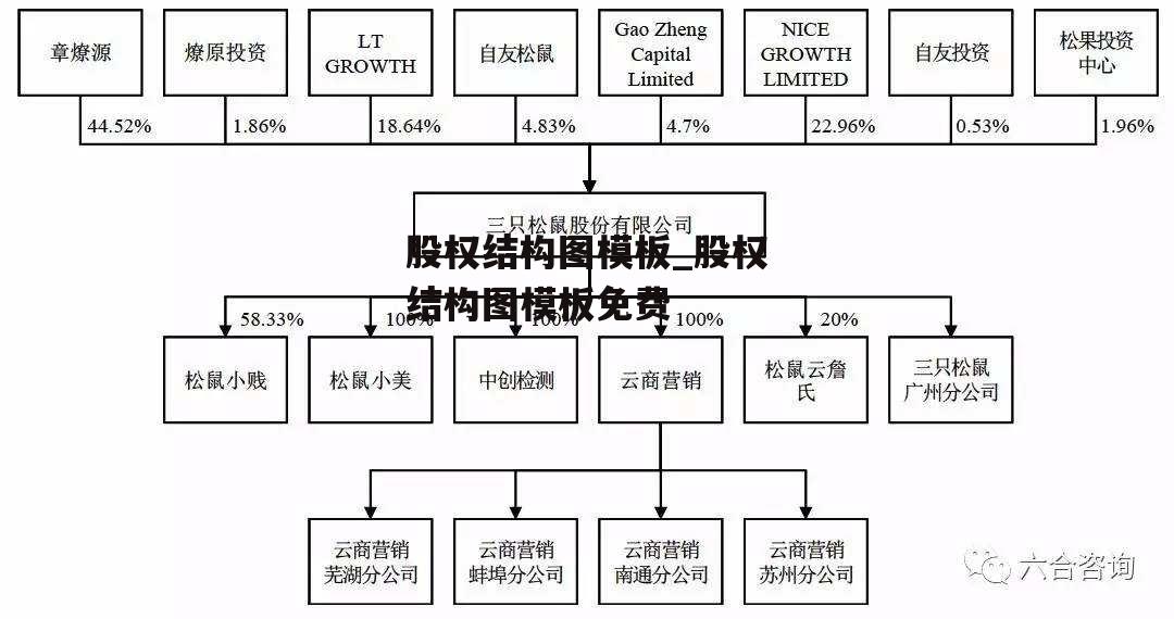 股权结构图模板_股权结构图模板免费