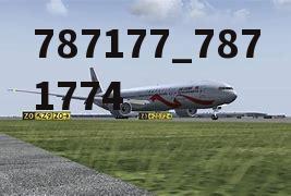 787177_7871774