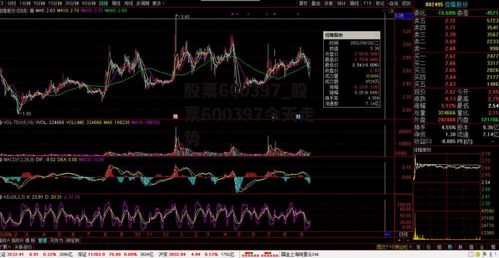 股票600397_股票600397今天走势
