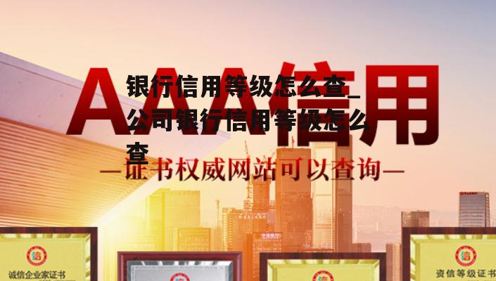 银行信用等级怎么查_公司银行信用等级怎么查