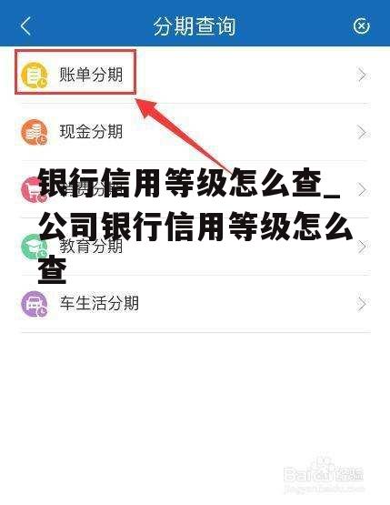 银行信用等级怎么查_公司银行信用等级怎么查