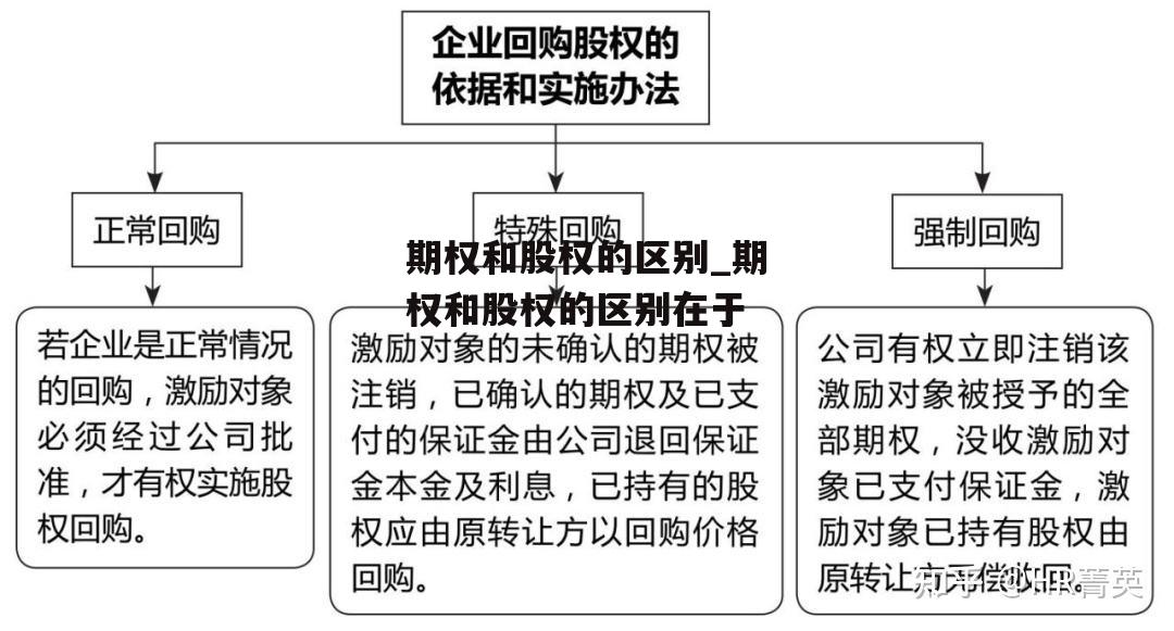 期权和股权的区别_期权和股权的区别在于