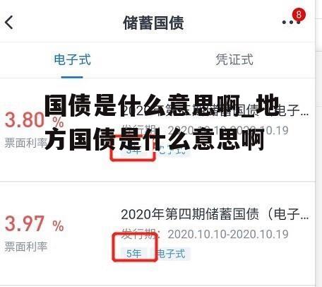 国债是什么意思啊_地方国债是什么意思啊