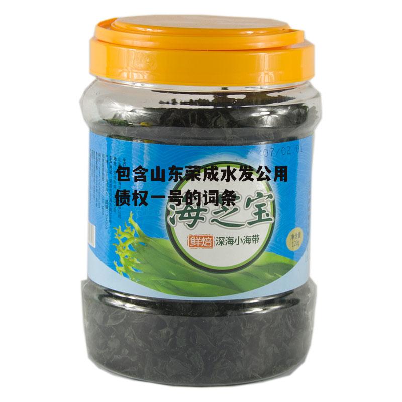 包含山东荣成水发公用债权一号的词条