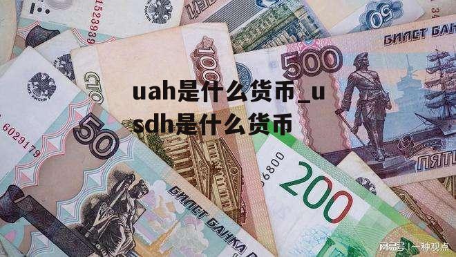 uah是什么货币_usdh是什么货币