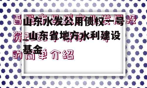 山东水发公用债权一号_山东省地方水利建设基金