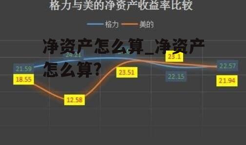 净资产怎么算_净资产怎么算?