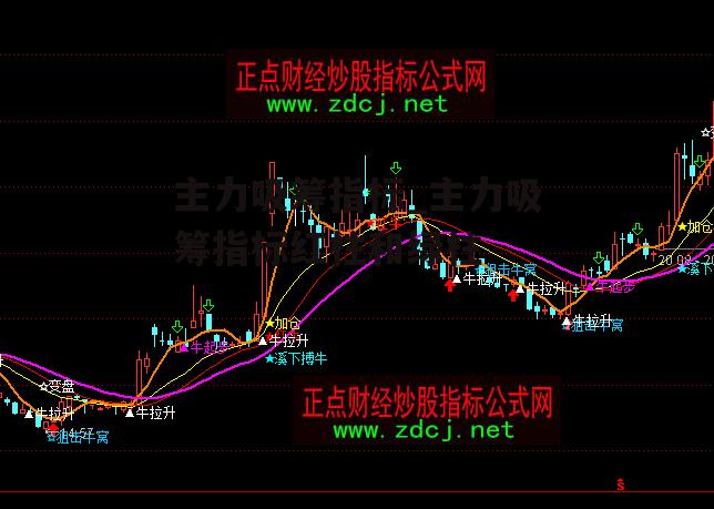 主力吸筹指标_主力吸筹指标红柱和绿柱