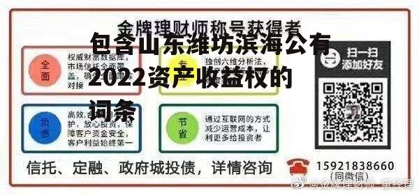 包含山东潍坊滨海公有2022资产收益权的词条