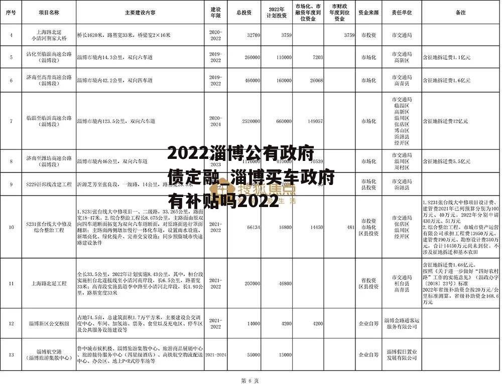 2022淄博公有政府债定融_淄博买车政府有补贴吗2022