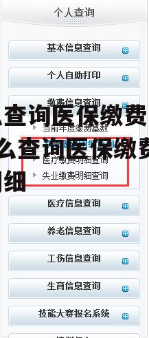 怎么查询医保缴费记录_怎么查询医保缴费记录明细