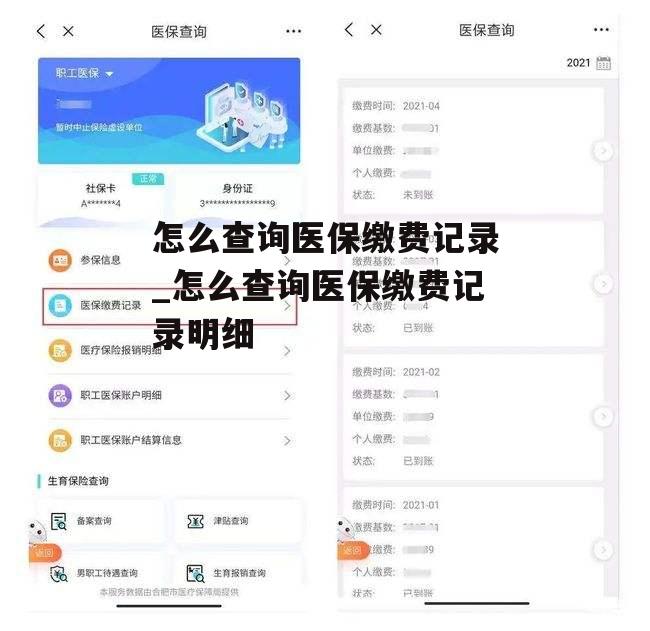 怎么查询医保缴费记录_怎么查询医保缴费记录明细