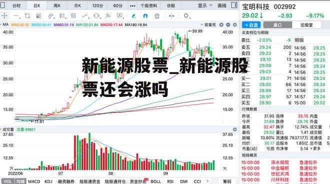 新能源股票_新能源股票还会涨吗