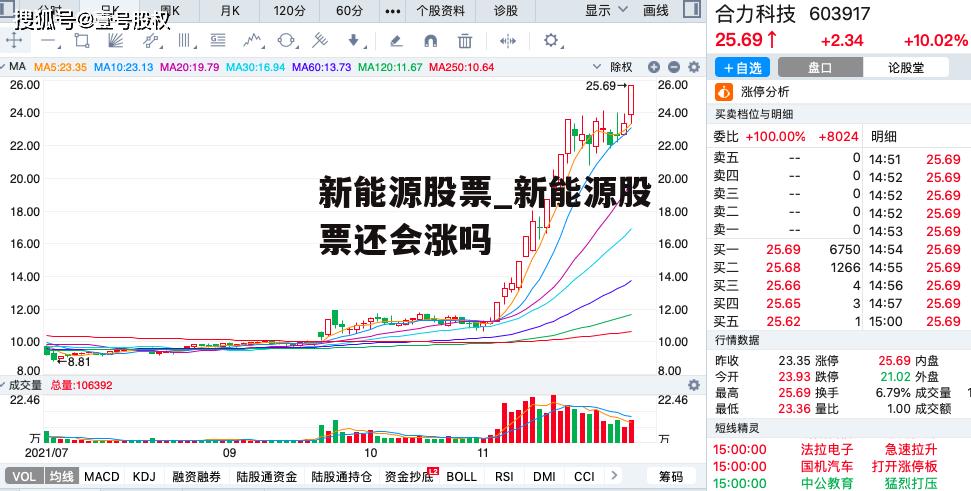 新能源股票_新能源股票还会涨吗