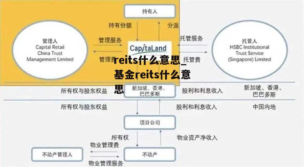 reits什么意思_基金reits什么意思