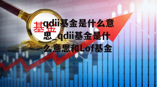 qdii基金是什么意思_qdii基金是什么意思和Lof基金