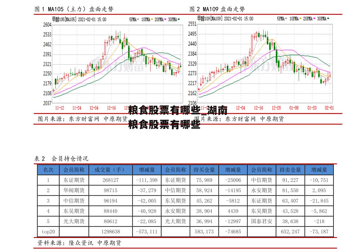 粮食股票有哪些_湖南粮食股票有哪些