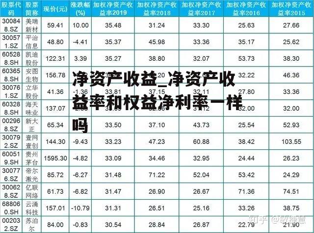 净资产收益_净资产收益率和权益净利率一样吗