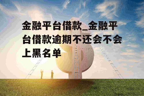 金融平台借款_金融平台借款逾期不还会不会上黑名单