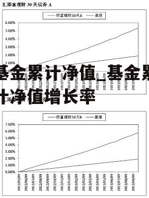 基金累计净值_基金累计净值增长率