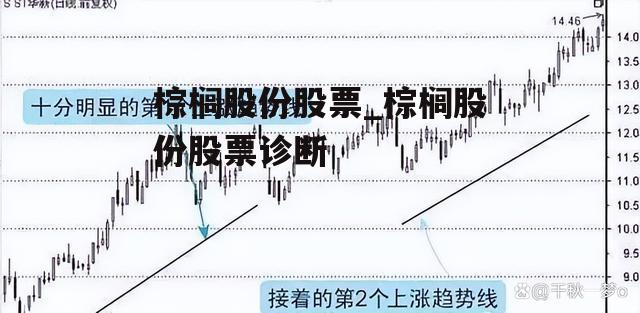 棕榈股份股票_棕榈股份股票诊断