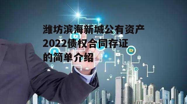 潍坊滨海新城公有资产2022债权合同存证的简单介绍