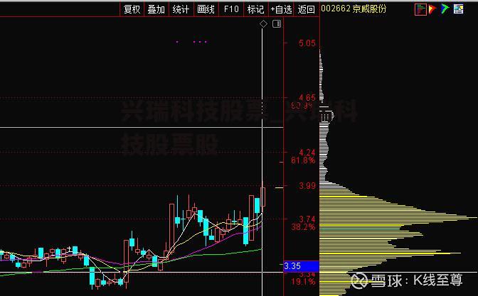 兴瑞科技股票_兴瑞科技股票股