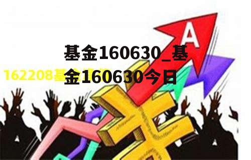 基金160630_基金160630今日