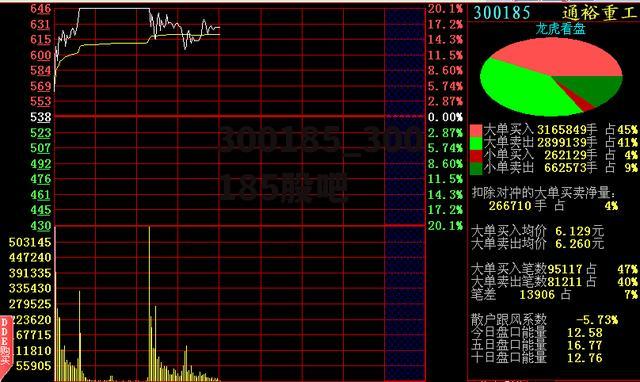 300185_300185股吧