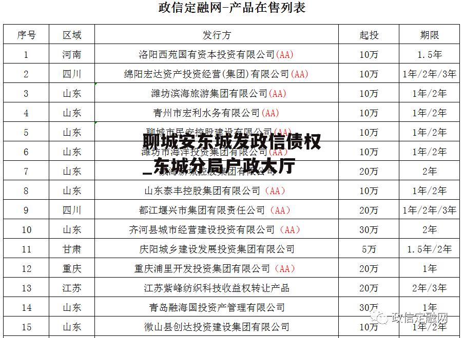 聊城安东城发政信债权_东城分局户政大厅