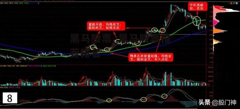 黑马股票_黑马股票推荐排名