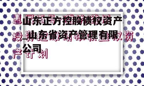 山东正方控股债权资产_山东省资产管理有限公司