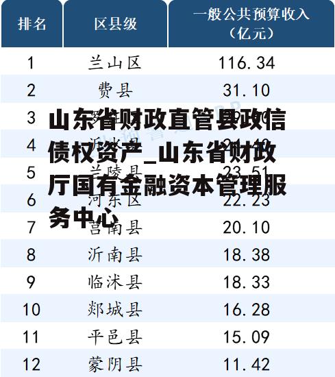 山东省财政直管县政信债权资产_山东省财政厅国有金融资本管理服务中心