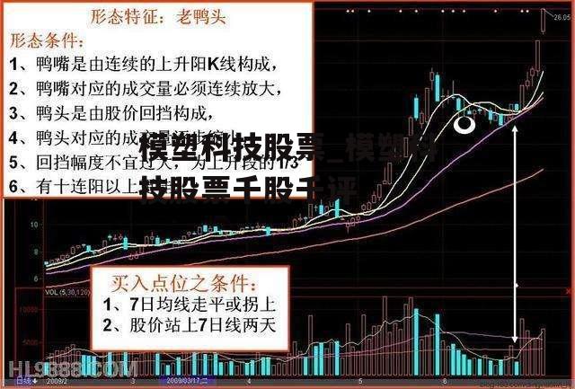 模塑科技股票_模塑科技股票千股千评