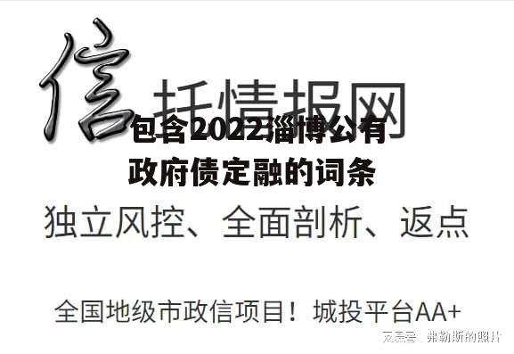 包含2022淄博公有政府债定融的词条