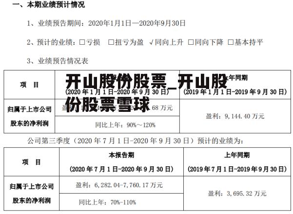 开山股份股票_开山股份股票雪球